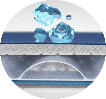 PressureGuard® Easy Air® LR Mattress